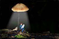 A small figure of a person reads a newspaper under the light of a mushroom.
